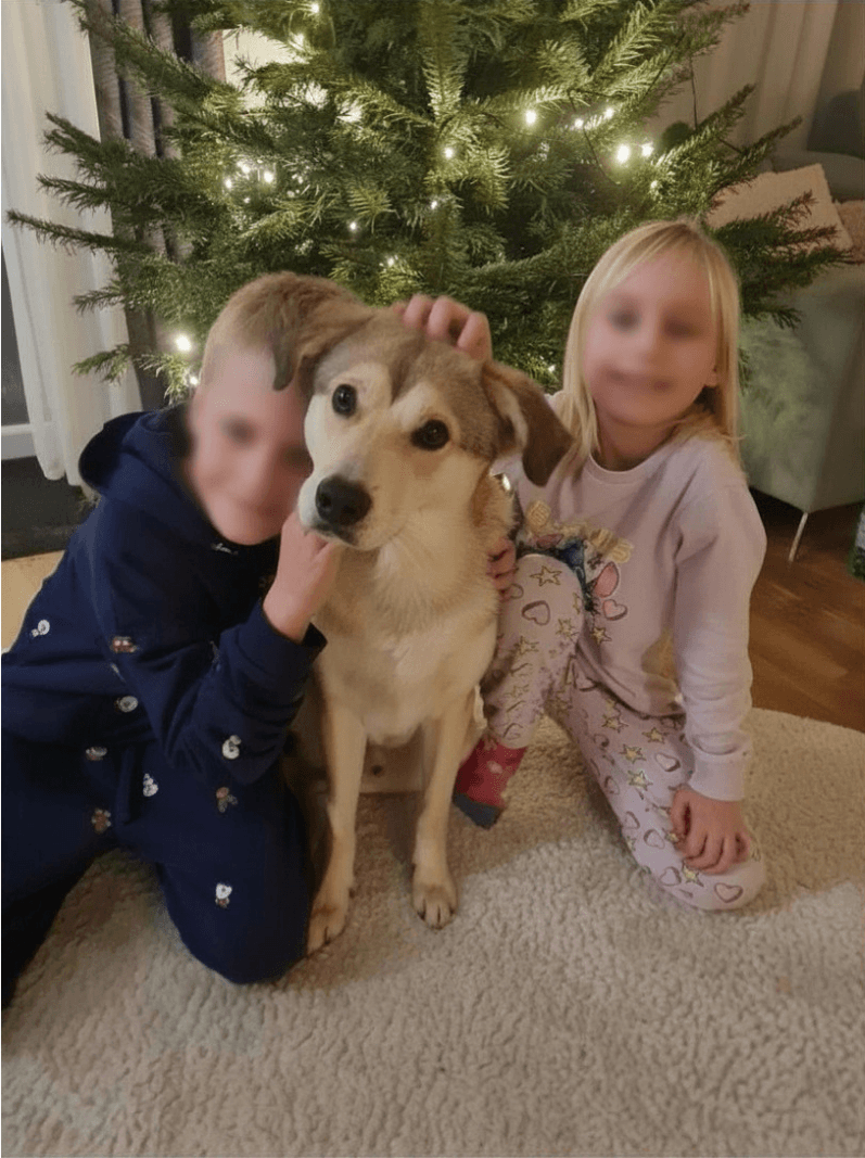 Rheuma Alltag Familie Hund Zwei Kinder mit einem Hund