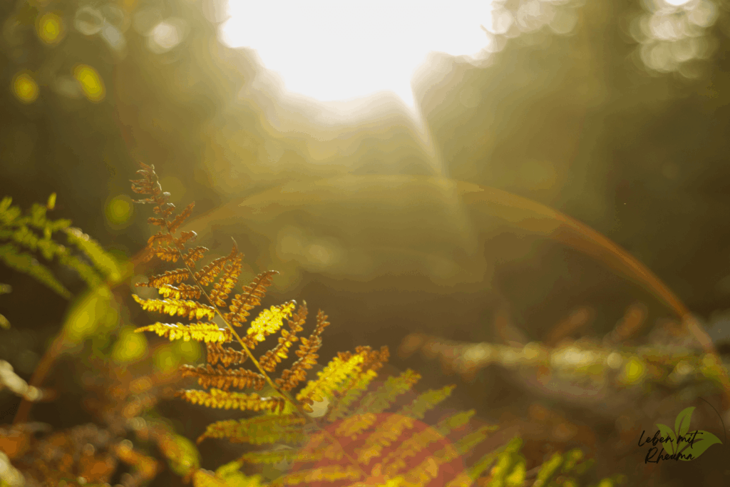 Pflanzen im Wald bei natürlichem Licht